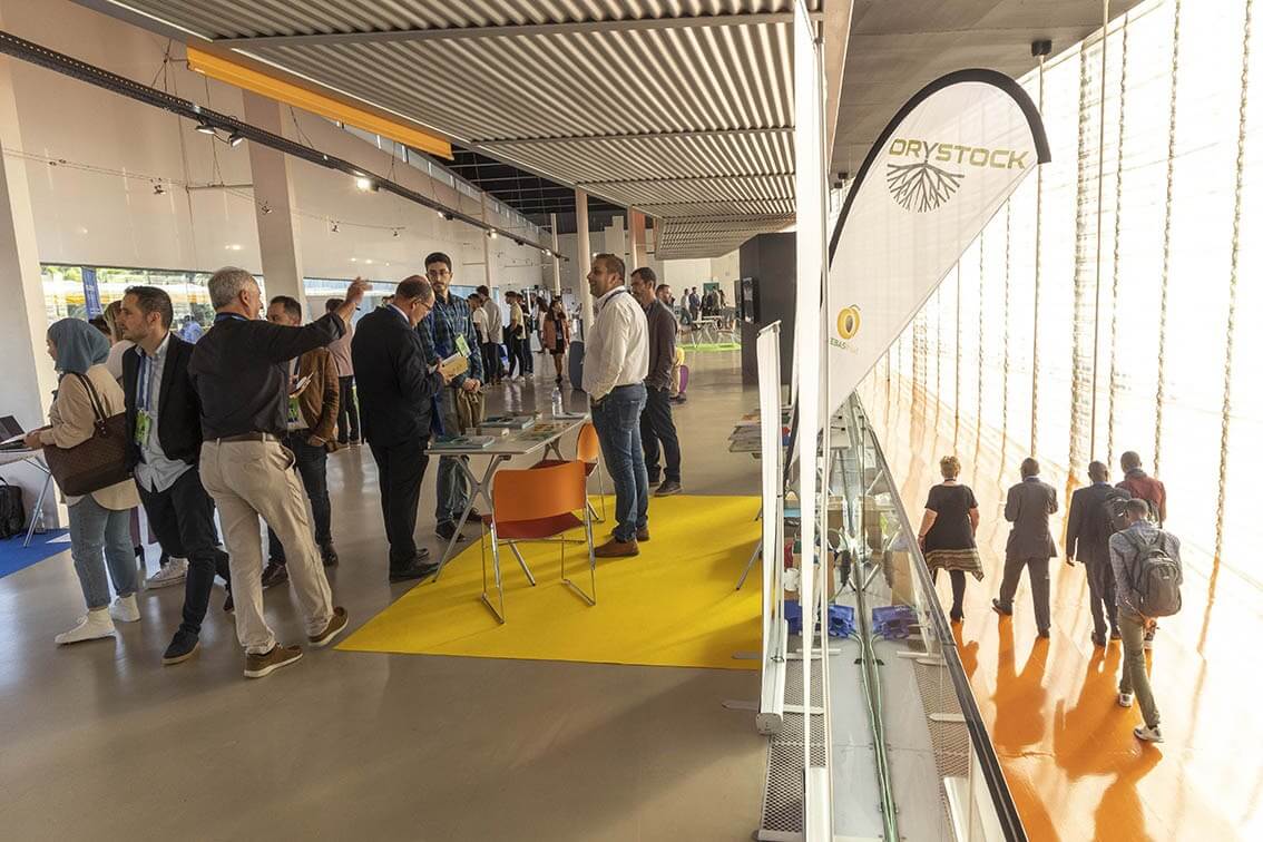 IMG-20251008-WA0034-1